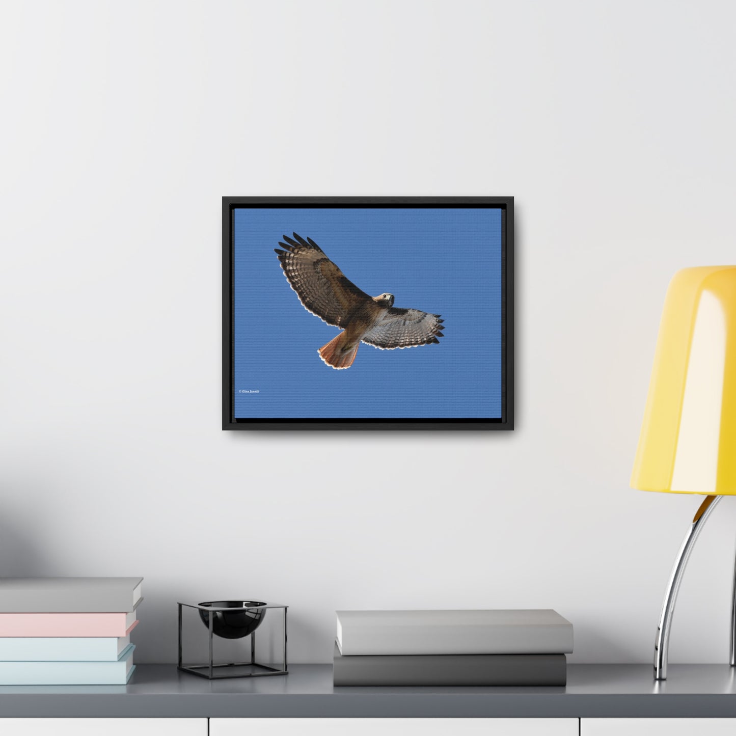 Red Tail Hawk Gallery Canvas Wraps, Horizontal Frame