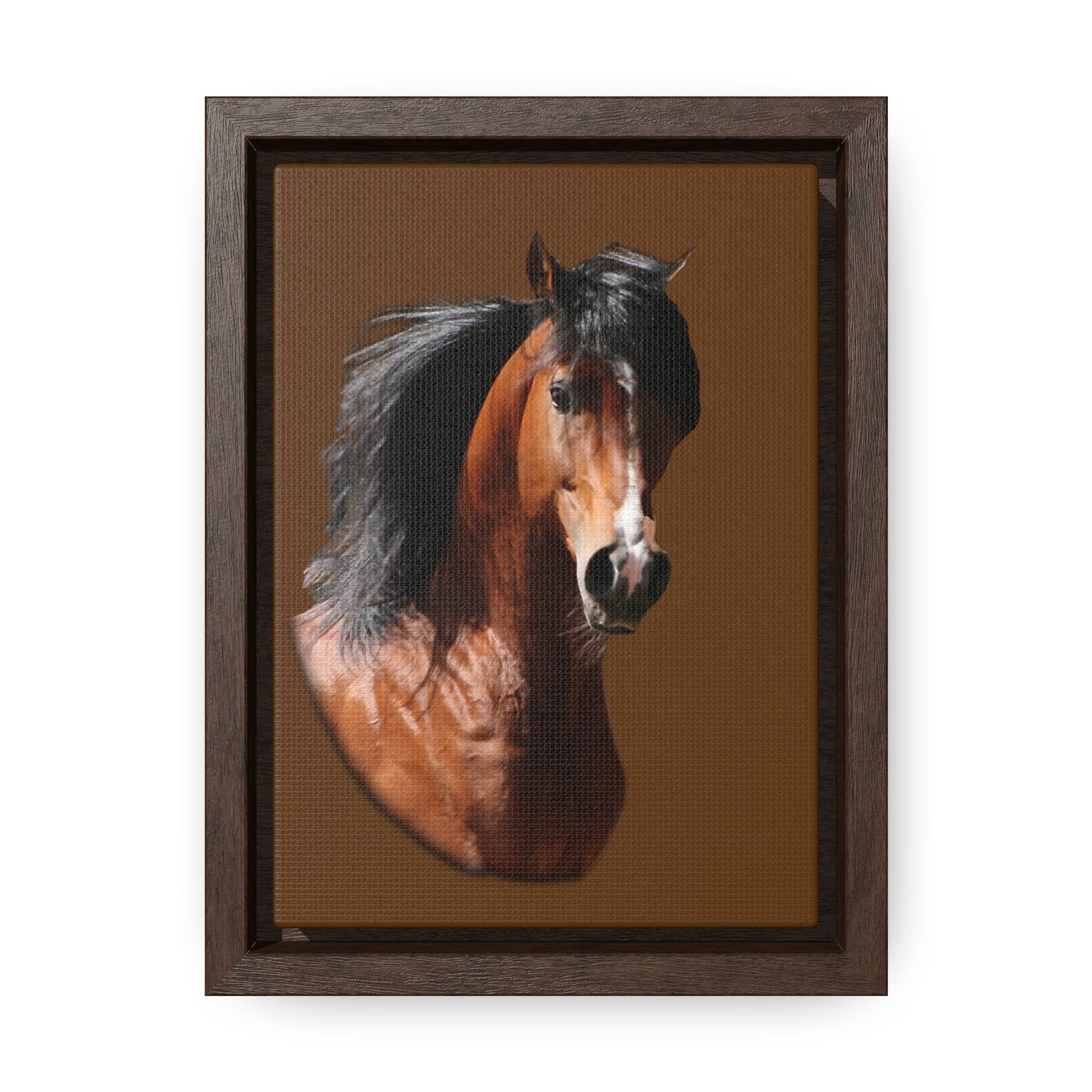 Bay Arabian Stallion   Gallery Canvas Wraps, Vertical Frame