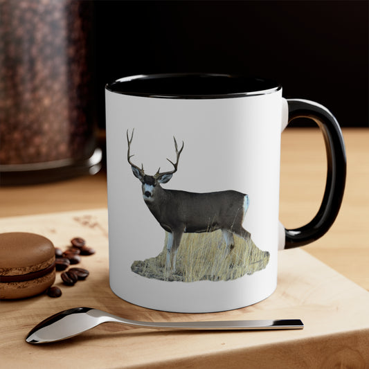 Standing Mule Deer Buck   Accent Mugs 11oz