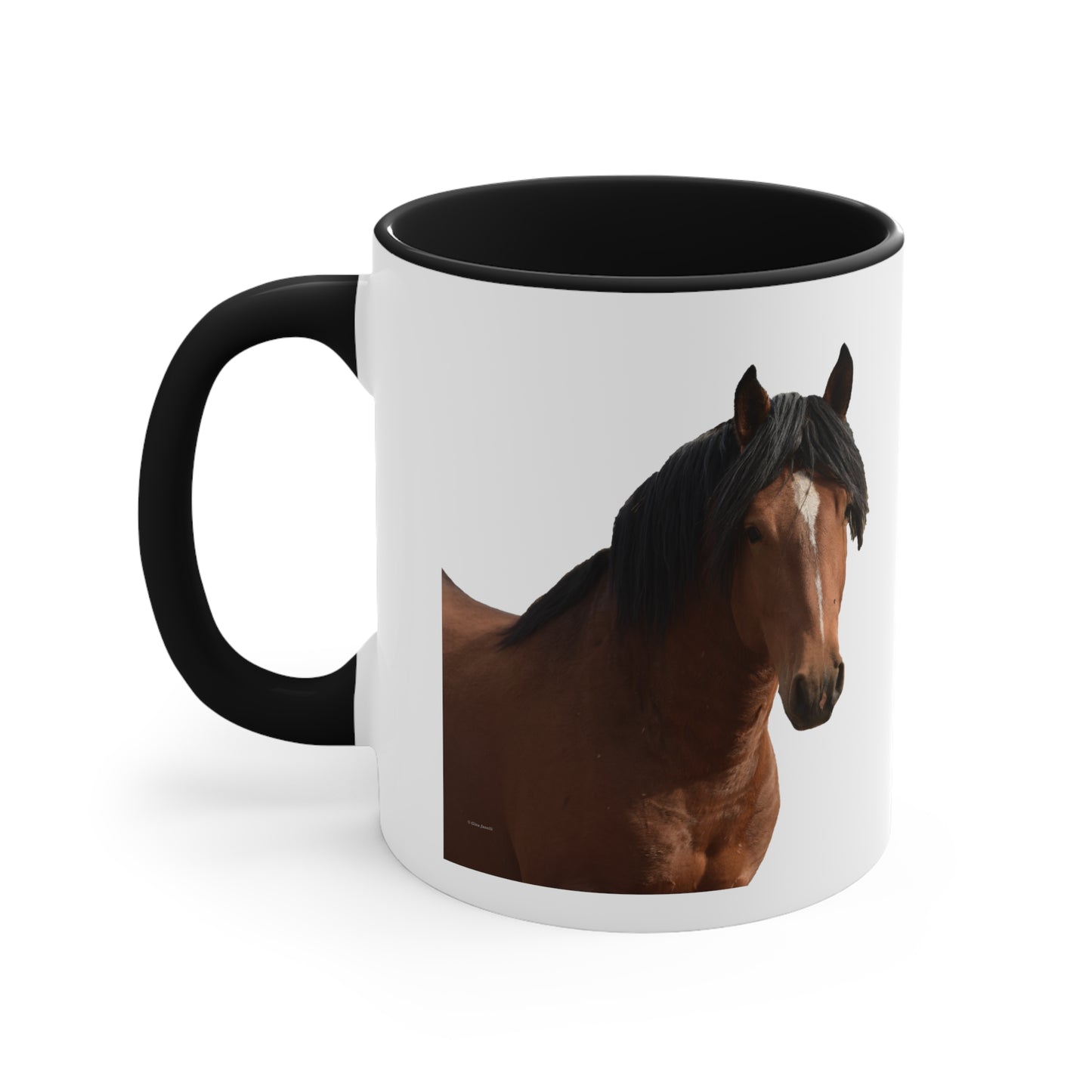 Young Stud, Wild Stallion Accent Mugs 11oz