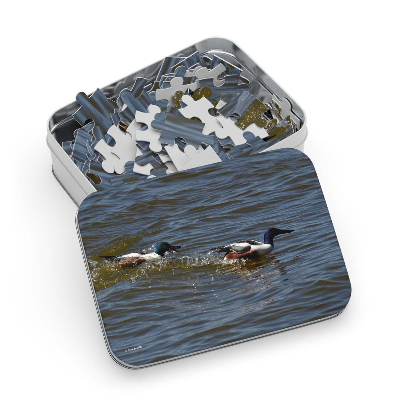Northern Shoveler Jigsaw Puzzle (110, 252, 500, 1000, Piece)