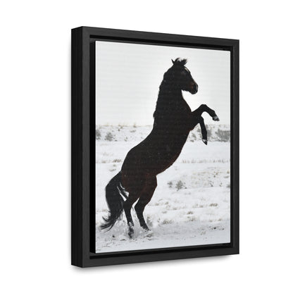 Snow Storm - Quarter Horse    Gallery Canvas Wraps, Vertical Frame
