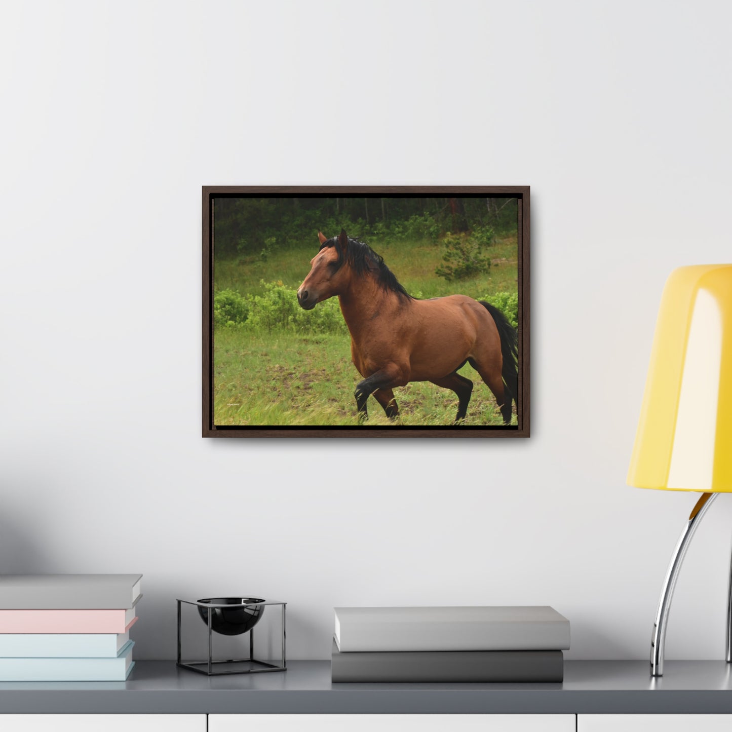 Protector, Wild Stallion Gallery Canvas Wraps, Horizontal Frame
