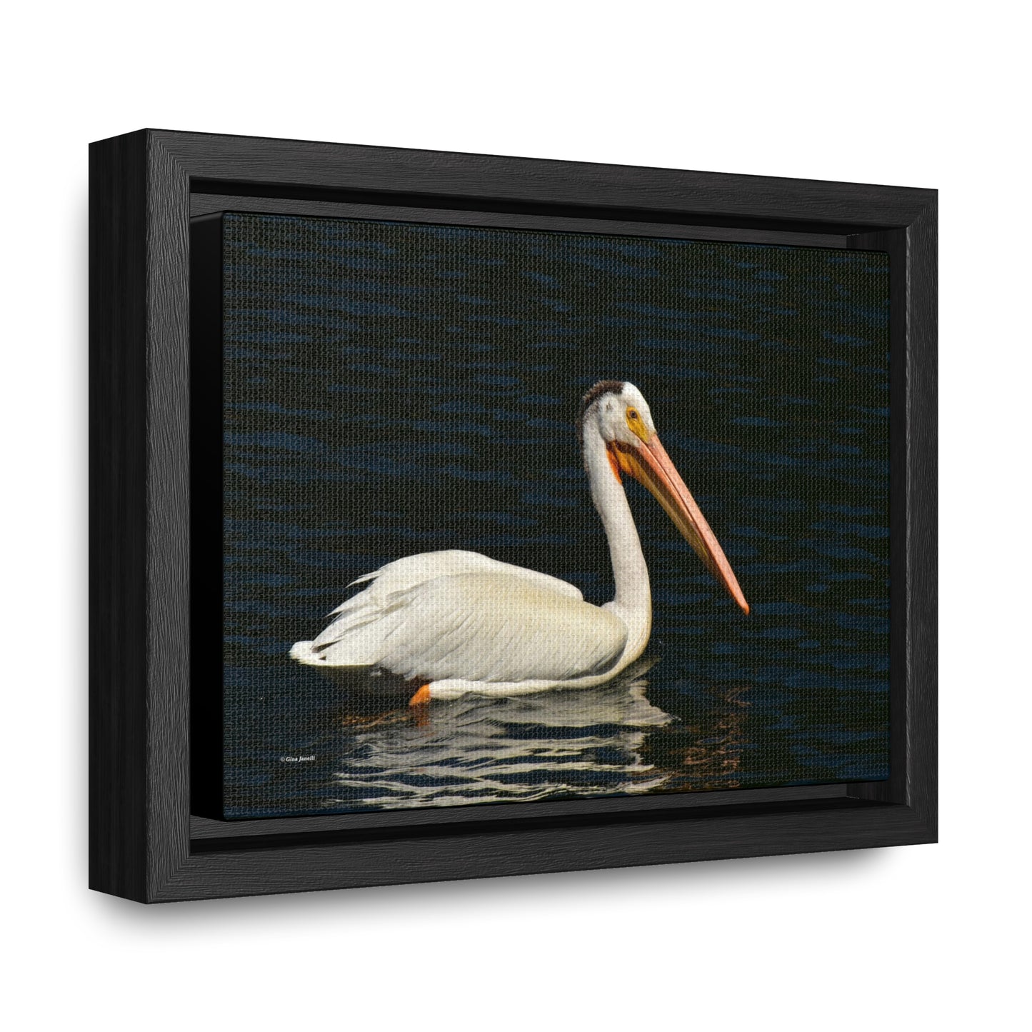 American White Pelican     Gallery Canvas Wraps, Horizontal Frame