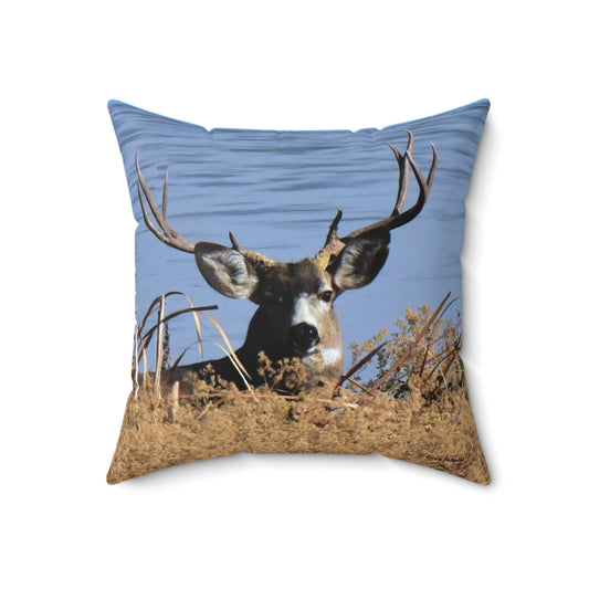 Mule Deer Buck       Spun Polyester Square Pillow