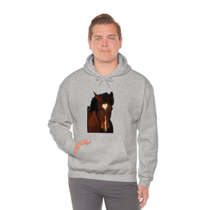 The Heart of a Horse, Quarter Horse   Unisex Heavy Blend™ Hooded Sweatshirt