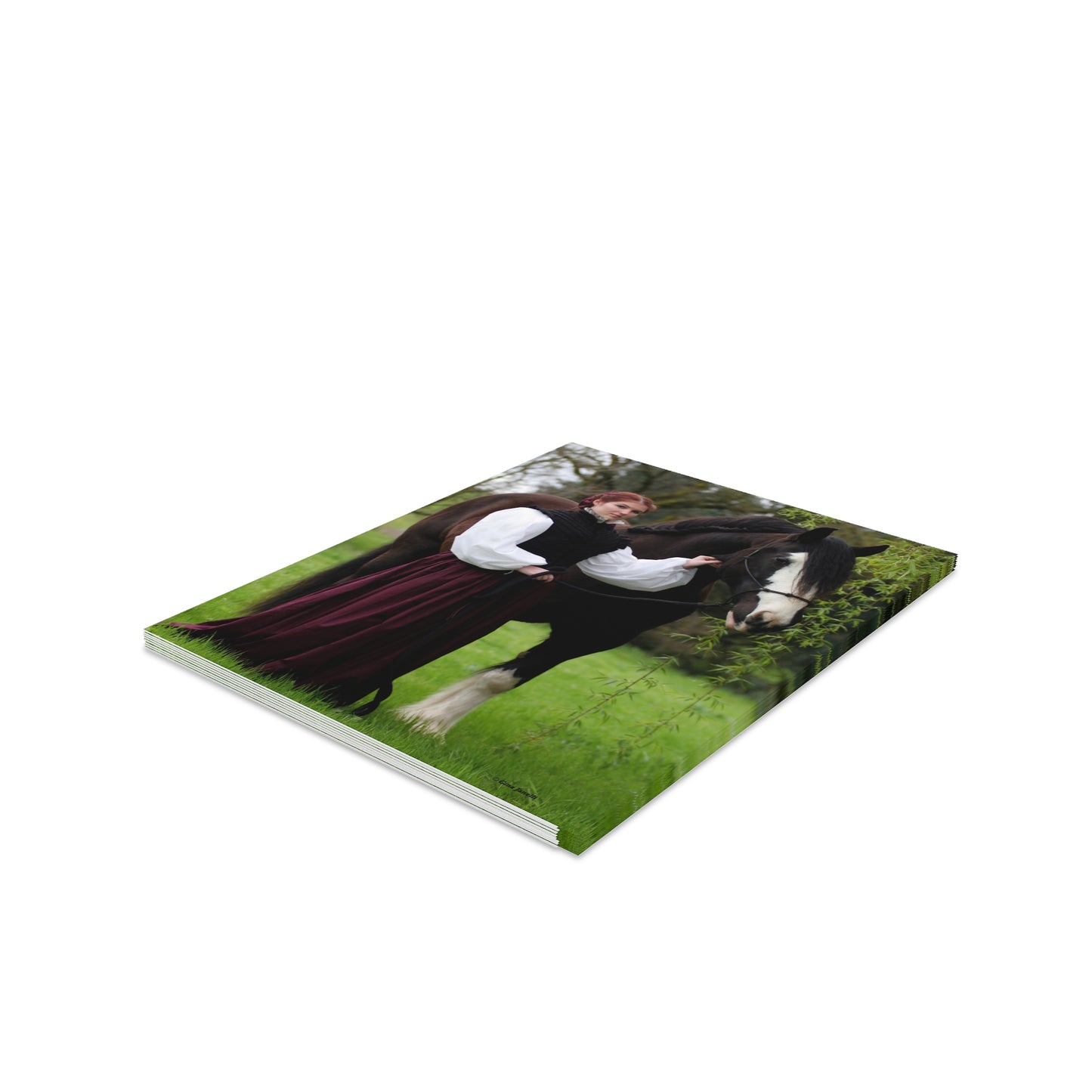 The Lady and the Shire Greeting cards (8, 16, and 24 pcs)