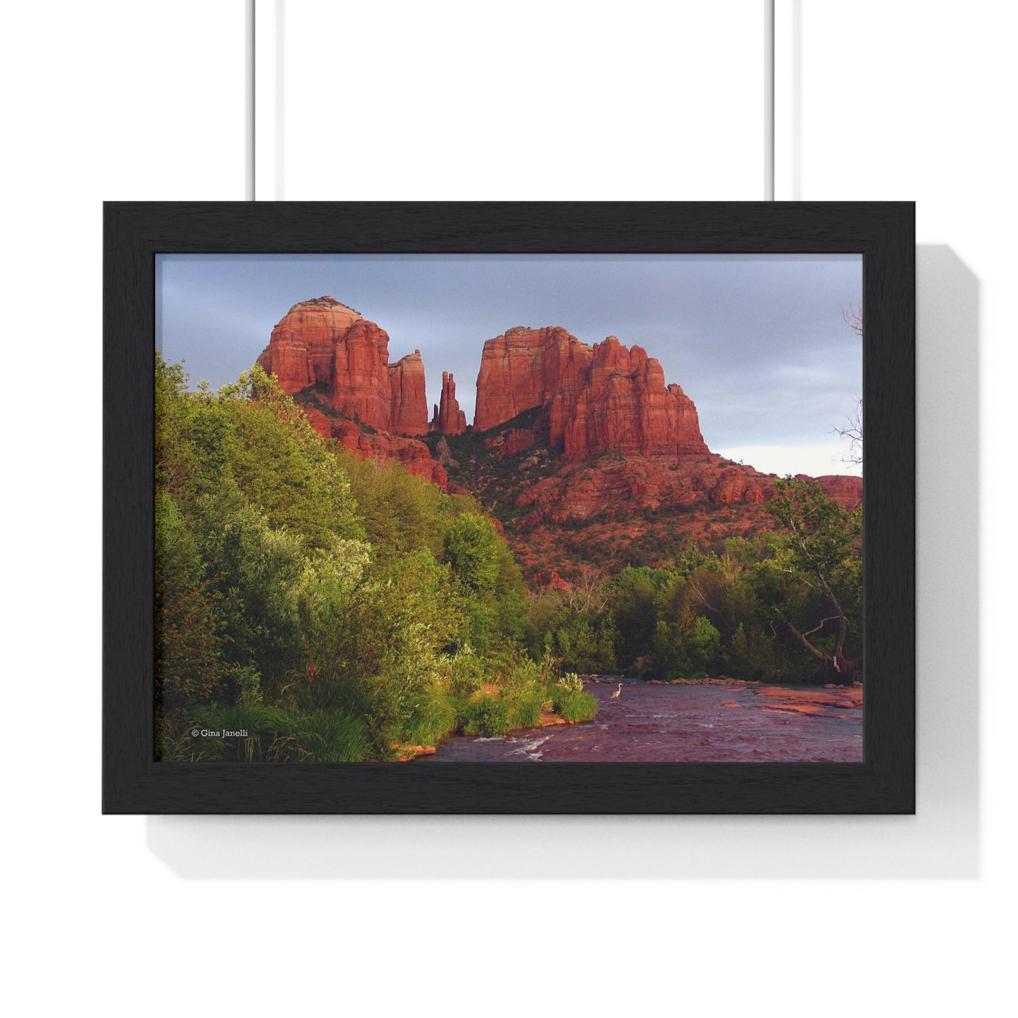 Cathedral Rock & Great Blue Heron, Sedona Az.                            Premium Framed Horizontal Poster