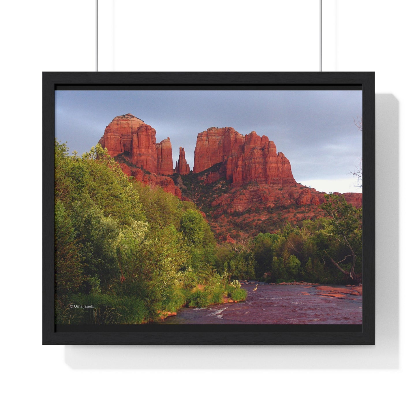 Cathedral Rock & Great Blue Heron, Sedona Az.                            Premium Framed Horizontal Poster