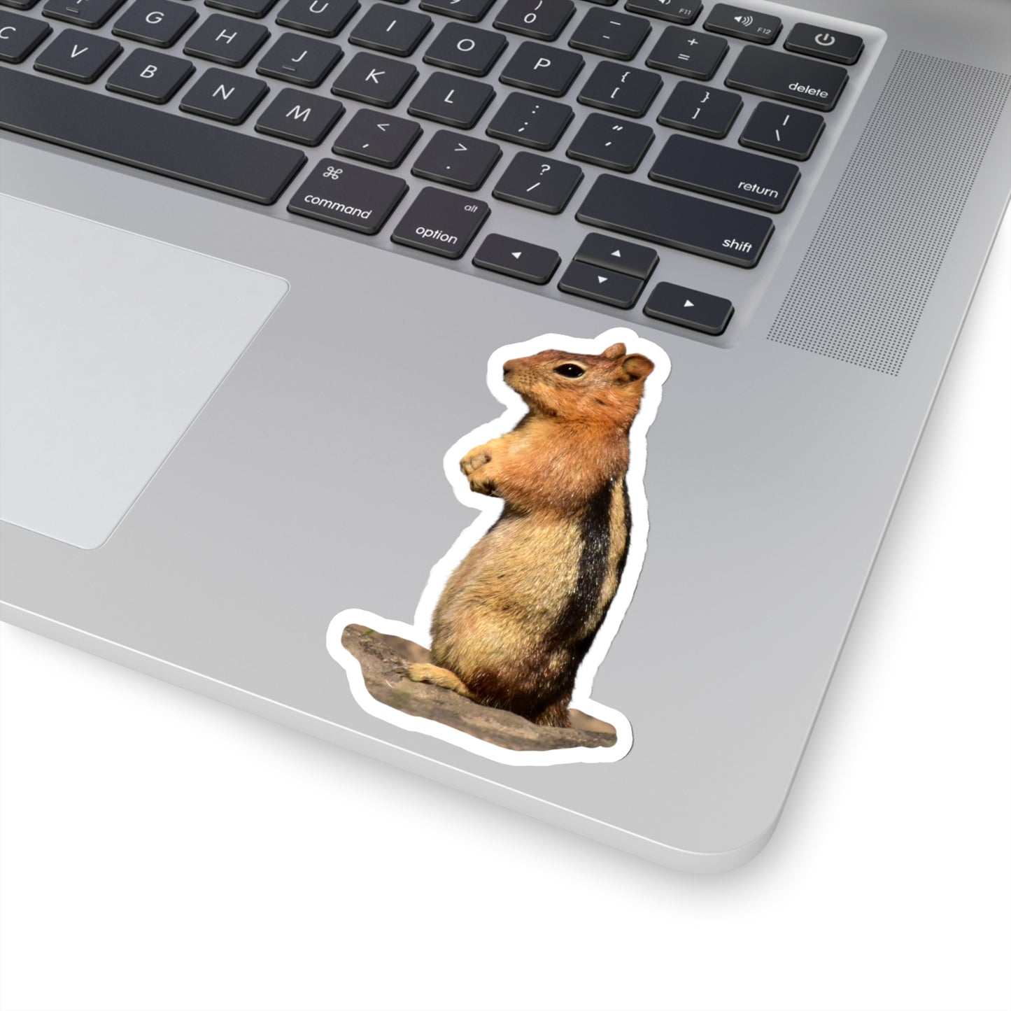 Golden-mantled Ground Squirrel                  Kiss-Cut Stickers