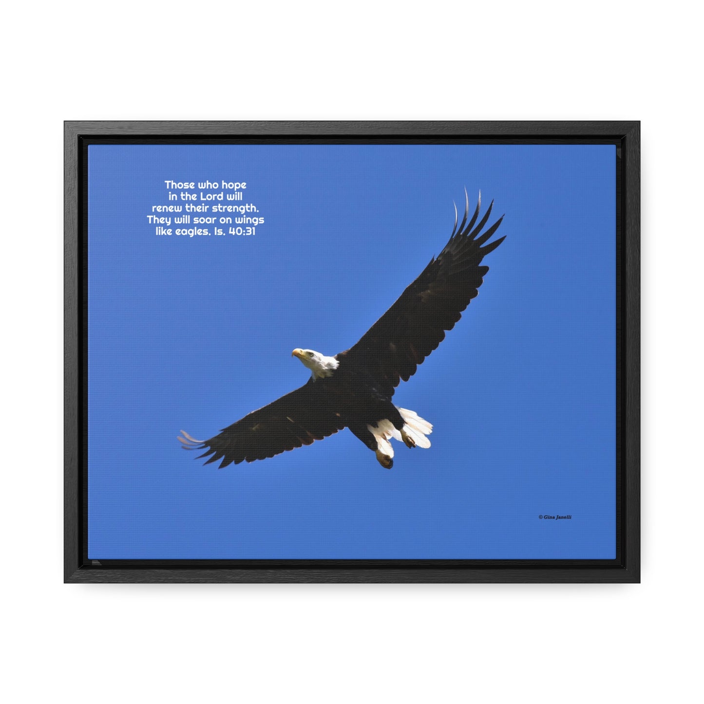 Soar as Eagles  Isaiah 40:31 - Bald Eagle       Gallery Canvas Wraps, Horizontal Frame