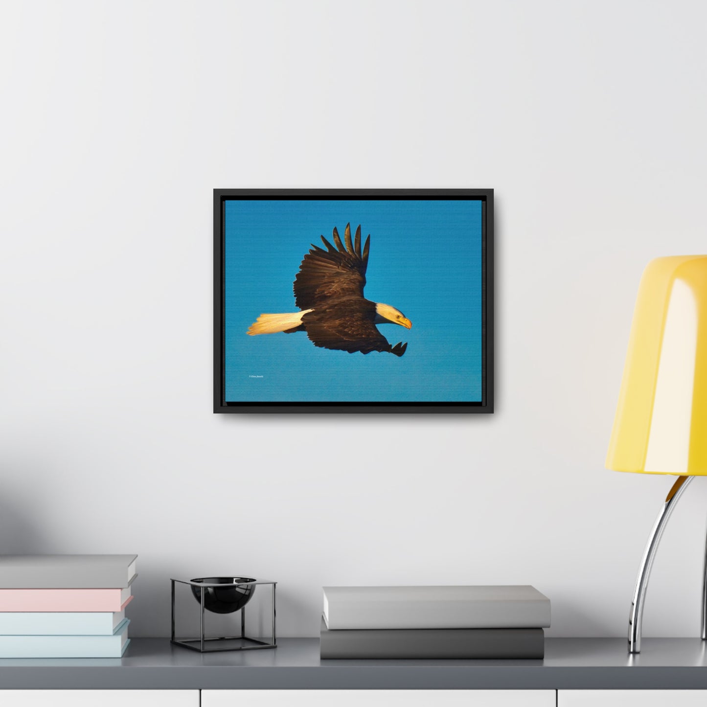 Bald Eagle     Gallery Canvas Wraps, Horizontal Frame