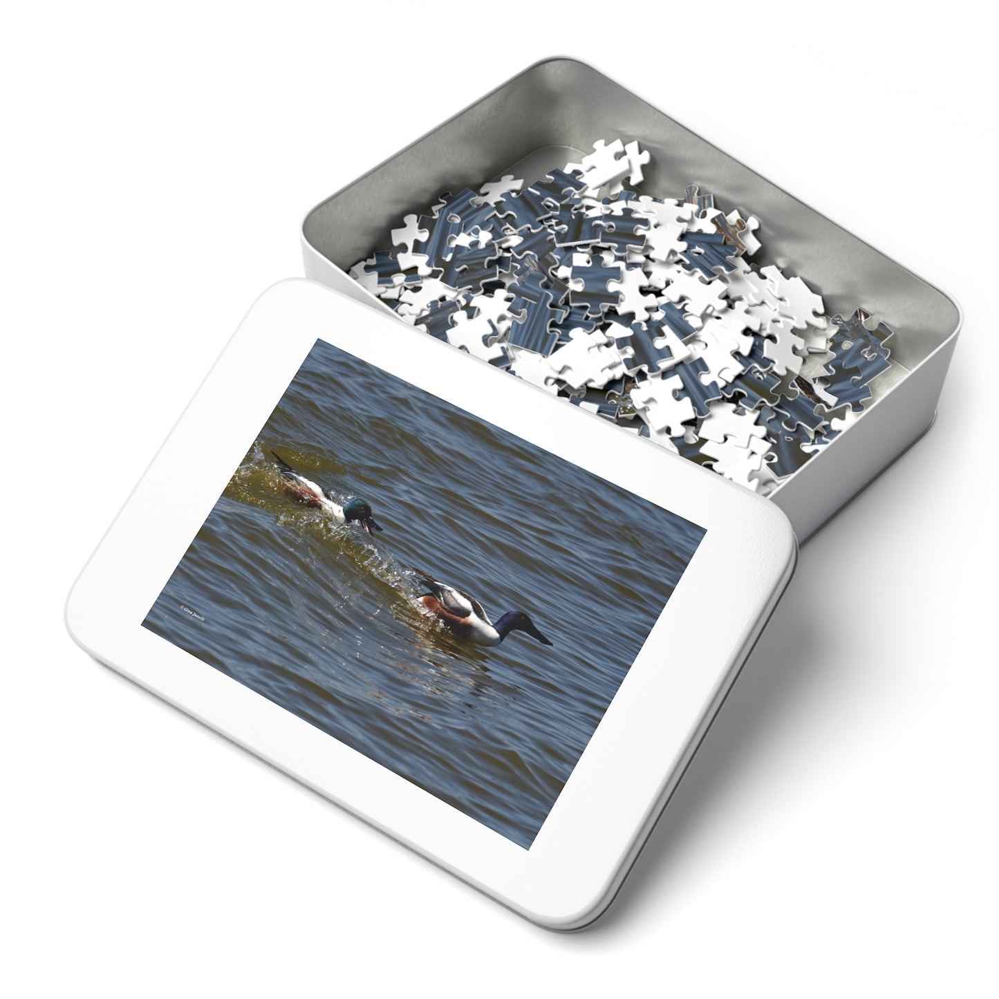 Northern Shoveler Jigsaw Puzzle (110, 252, 500, 1000, Piece)
