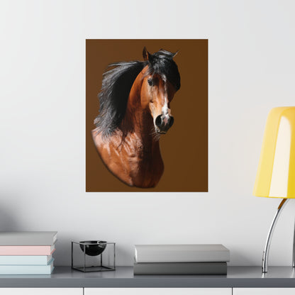Bay Arabian Stallion  Premium Matte Vertical Posters