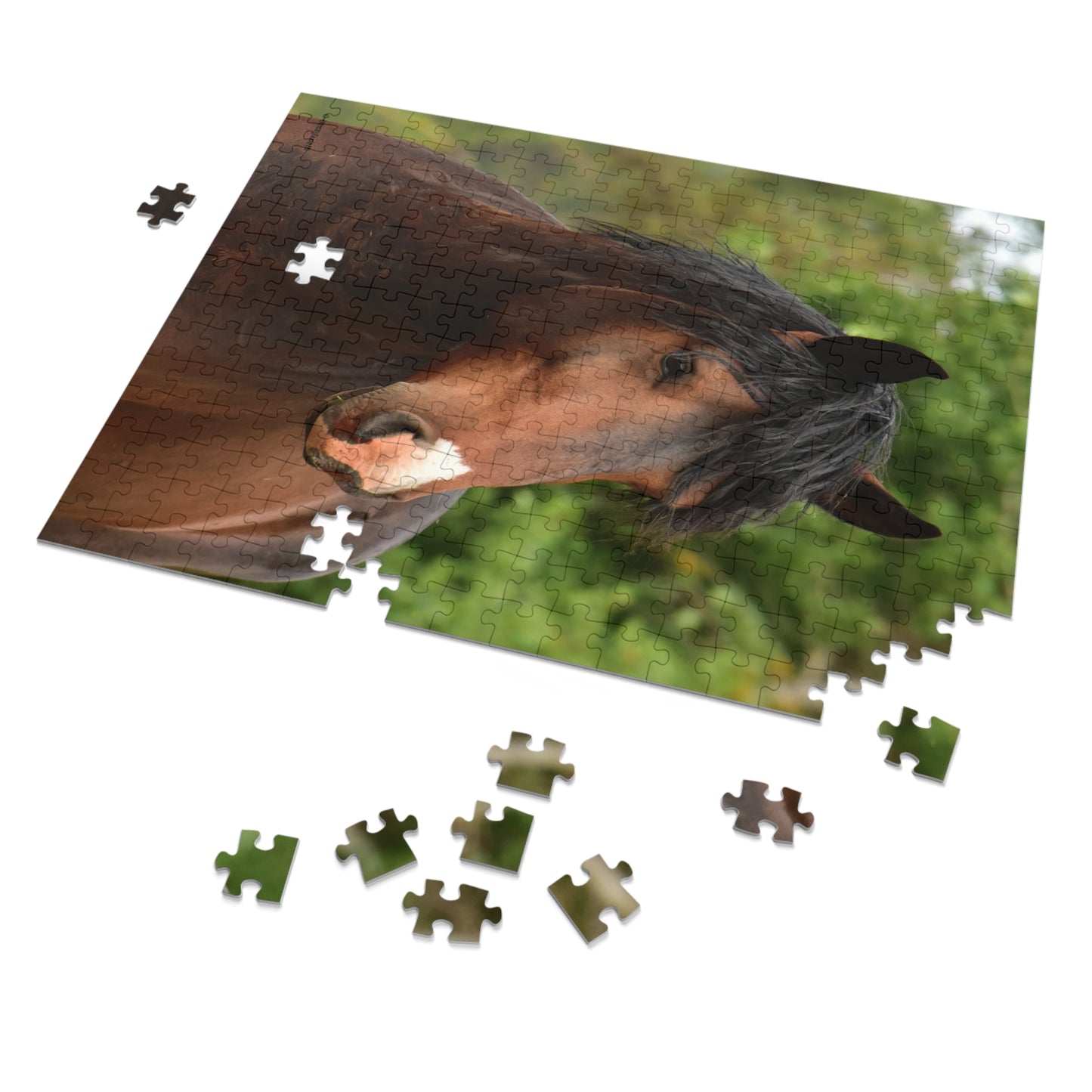 The Challenger, Wild Stallion Jigsaw Puzzle (110, 252, 500, Piece)