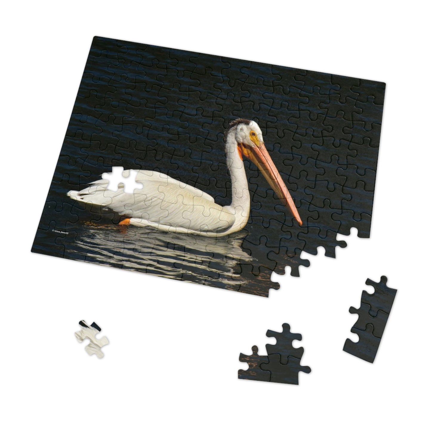 American White Pelican Jigsaw Puzzle ( 110, 252, 500, Piece)