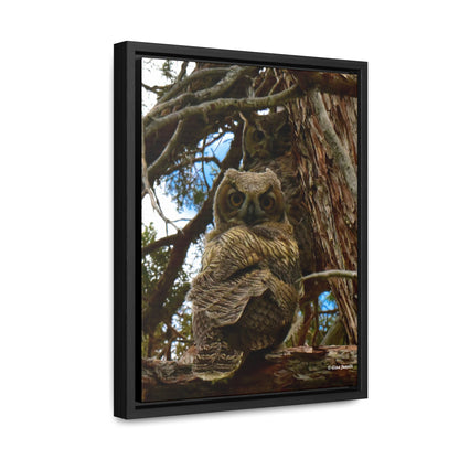 Great Horned Owls    Gallery Canvas Wraps, Vertical Frame