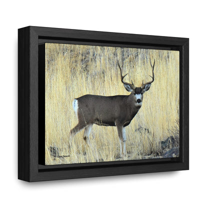 Standing Mule Deer Buck Gallery Canvas Wraps, Horizontal Frame