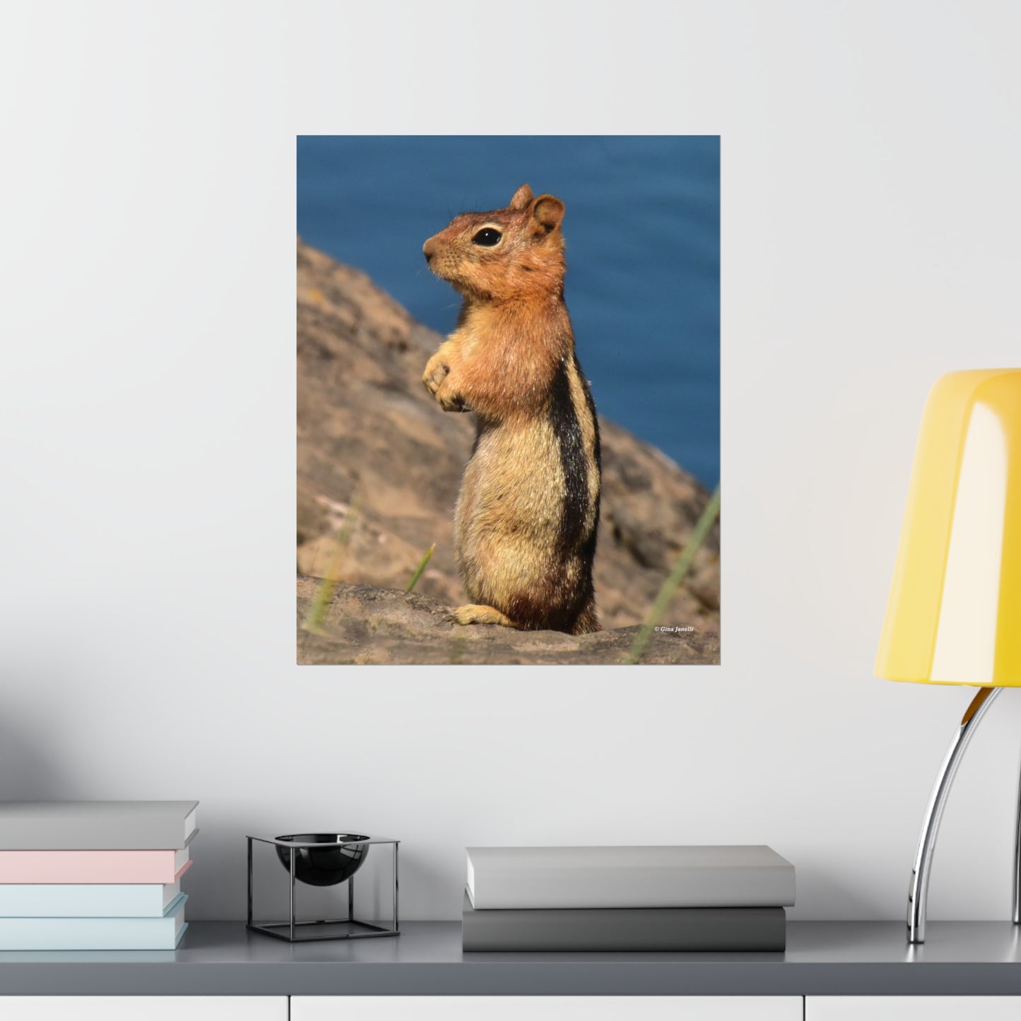 Golden-mantled ground squirrel         Premium Matte vertical posters