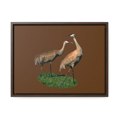 Sandhill Crane Pair   Gallery Canvas Wraps, Horizontal Frame