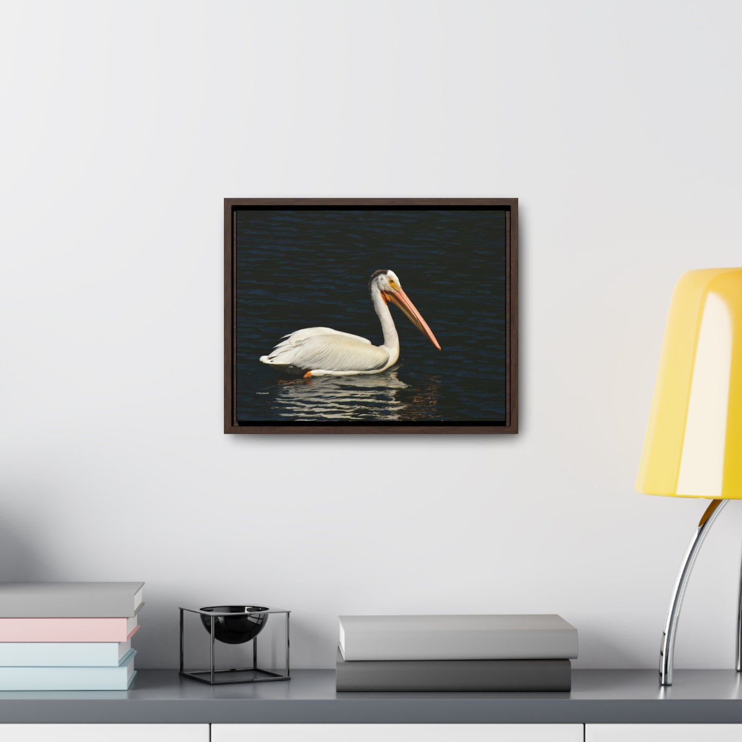 American White Pelican     Gallery Canvas Wraps, Horizontal Frame