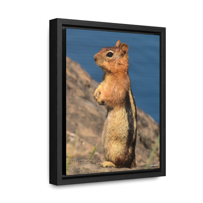Golden-mantled ground squirrel        Gallery Canvas Wraps, Vertical Frame