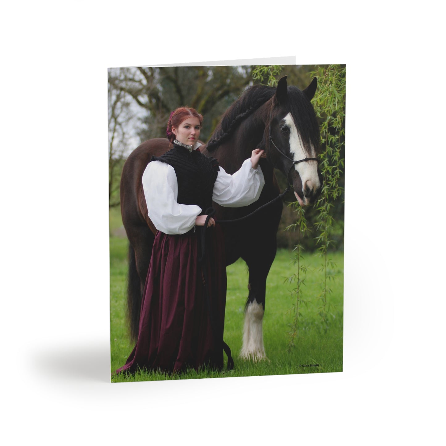 The Lady and the Shire Greeting cards (8, 16, and 24 pcs)