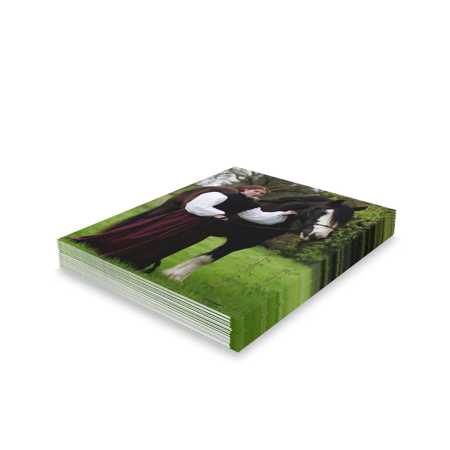 The Lady and the Shire Greeting cards (8, 16, and 24 pcs)