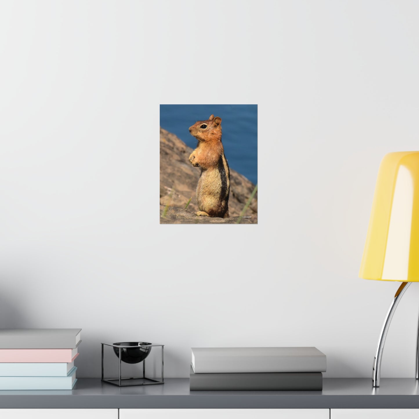 Golden-mantled ground squirrel         Premium Matte vertical posters