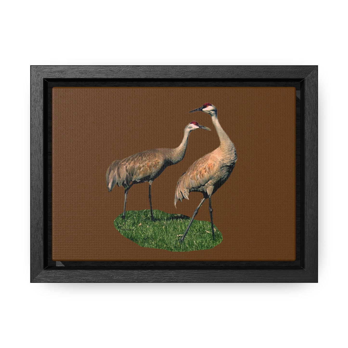 Sandhill Crane Pair   Gallery Canvas Wraps, Horizontal Frame