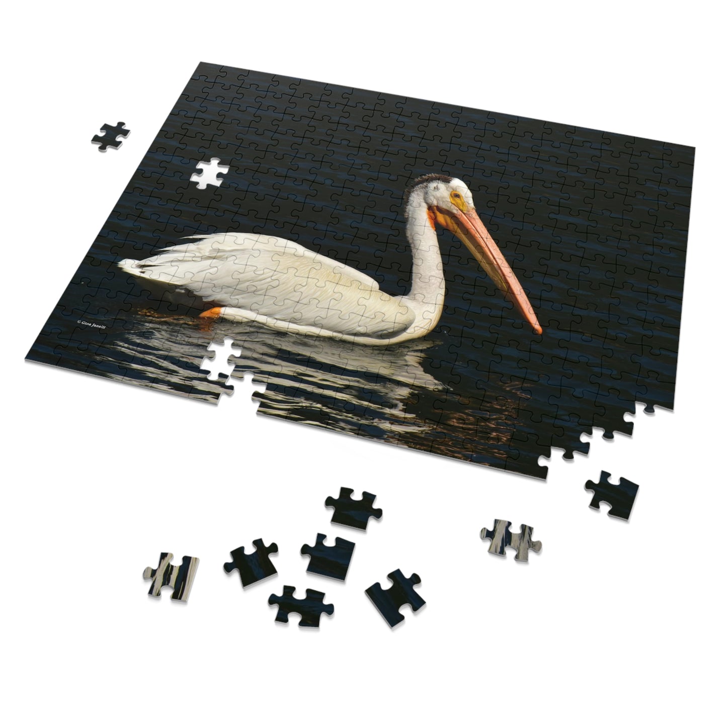 American White Pelican Jigsaw Puzzle ( 110, 252, 500, Piece)