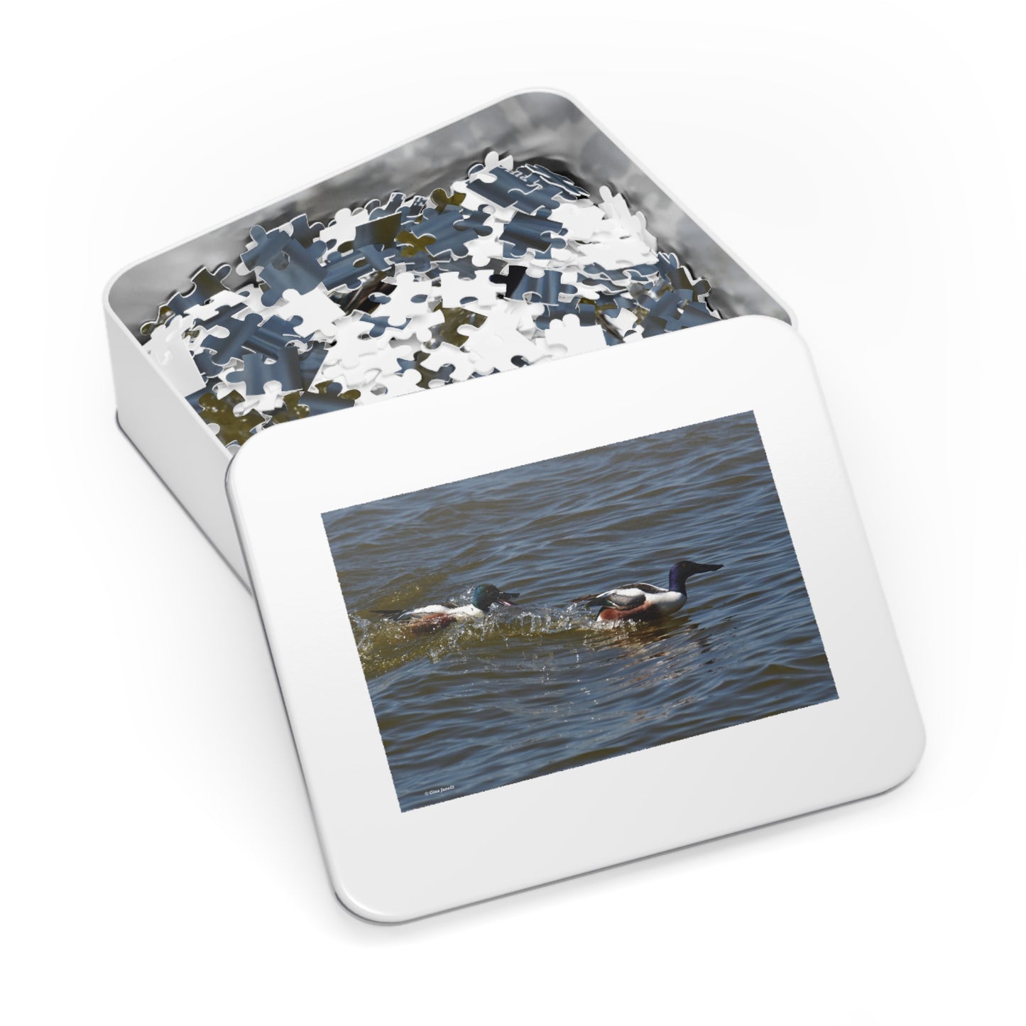 Northern Shoveler Jigsaw Puzzle (110, 252, 500, 1000, Piece)