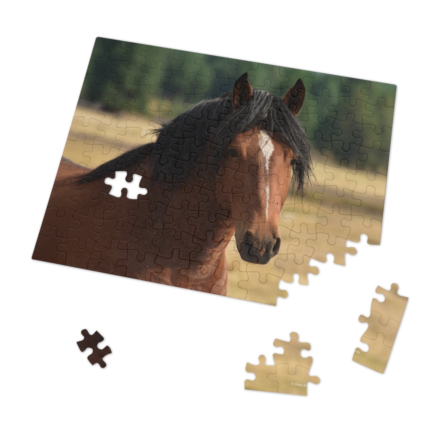 Young Stud, Wild Stallion    Jigsaw Puzzle (110, 252, 500, Piece)