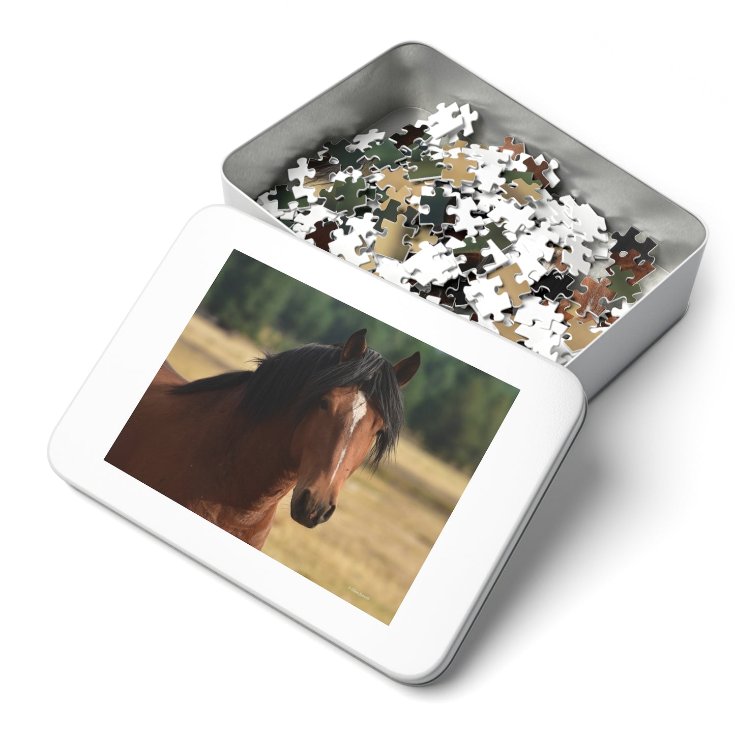 Young Stud, Wild Stallion    Jigsaw Puzzle (110, 252, 500, Piece)