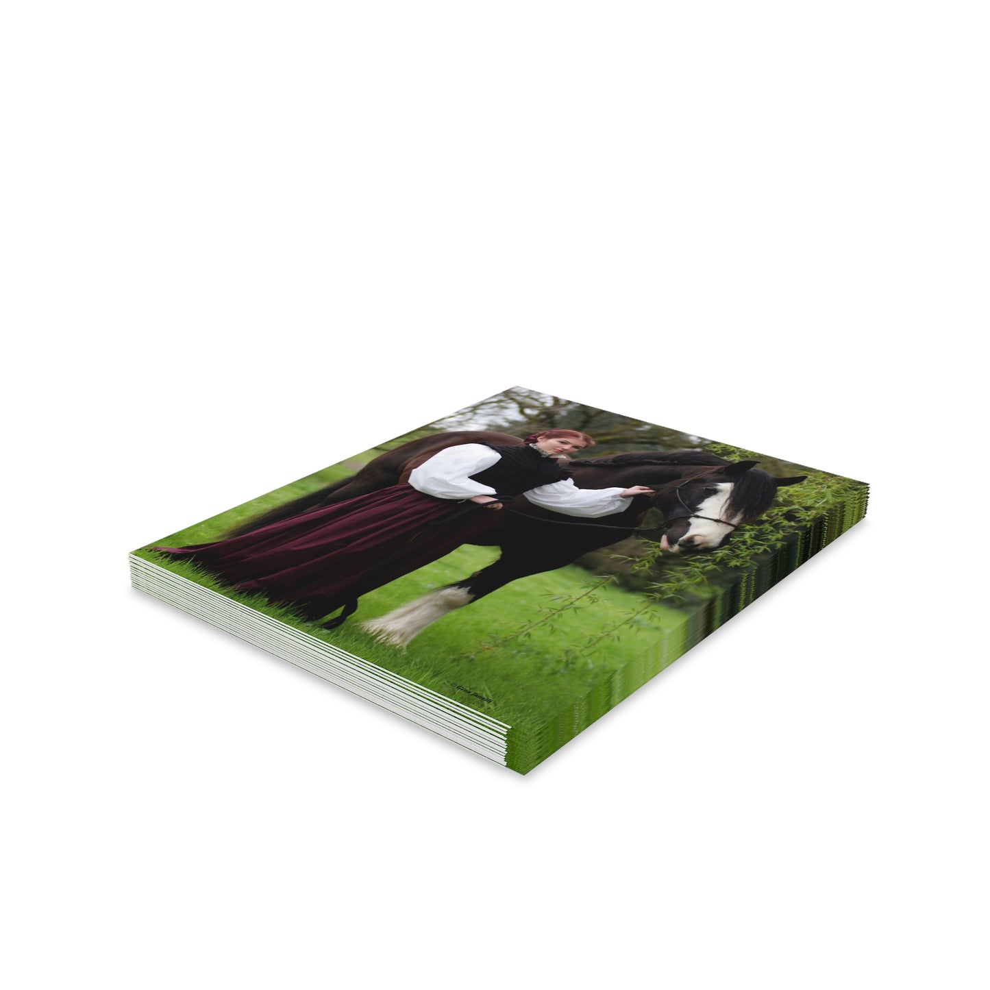The Lady and the Shire Greeting cards (8, 16, and 24 pcs)
