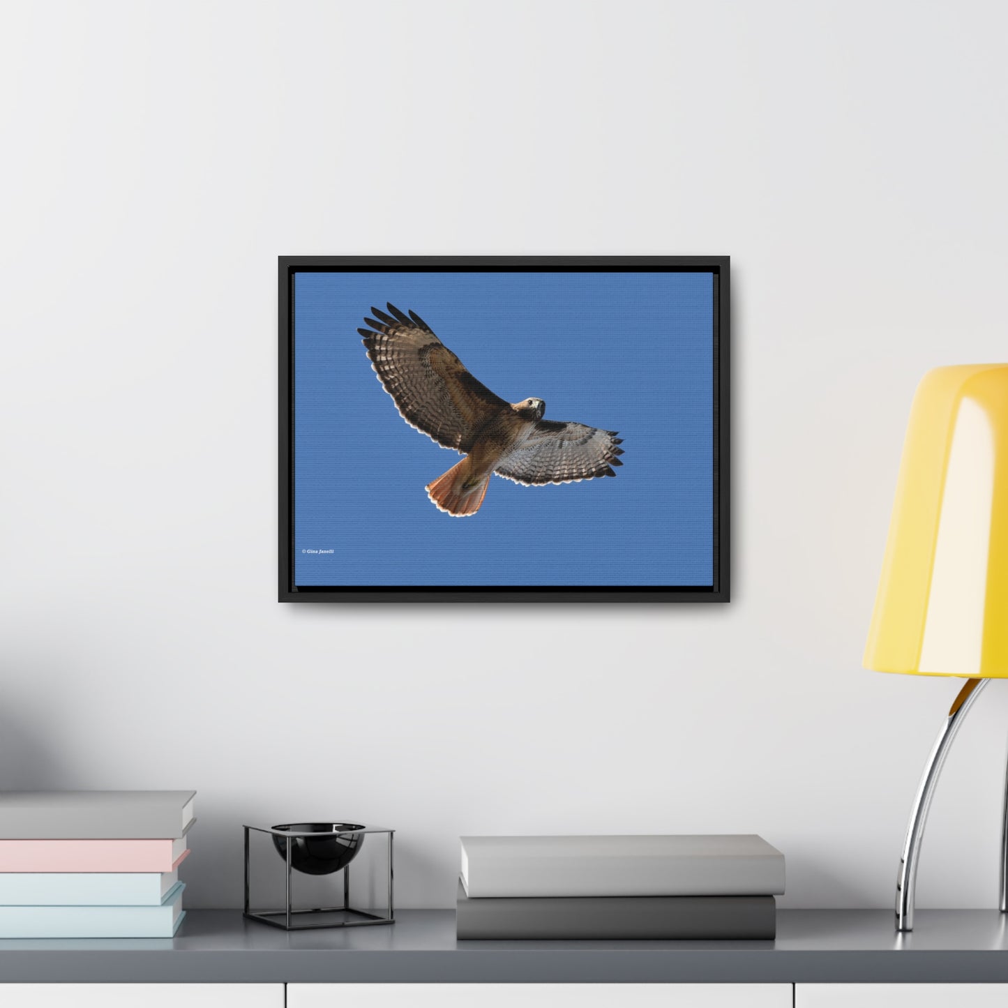 Red Tail Hawk Gallery Canvas Wraps, Horizontal Frame