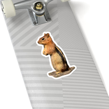 Golden-mantled Ground Squirrel                  Kiss-Cut Stickers