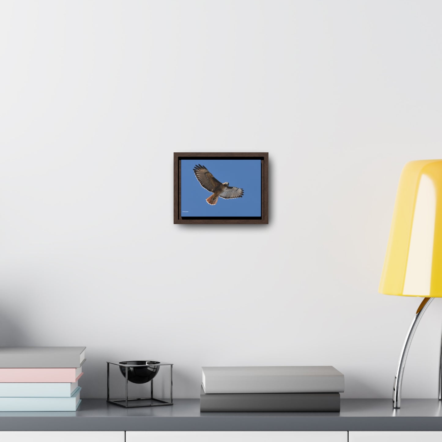 Red Tail Hawk Gallery Canvas Wraps, Horizontal Frame