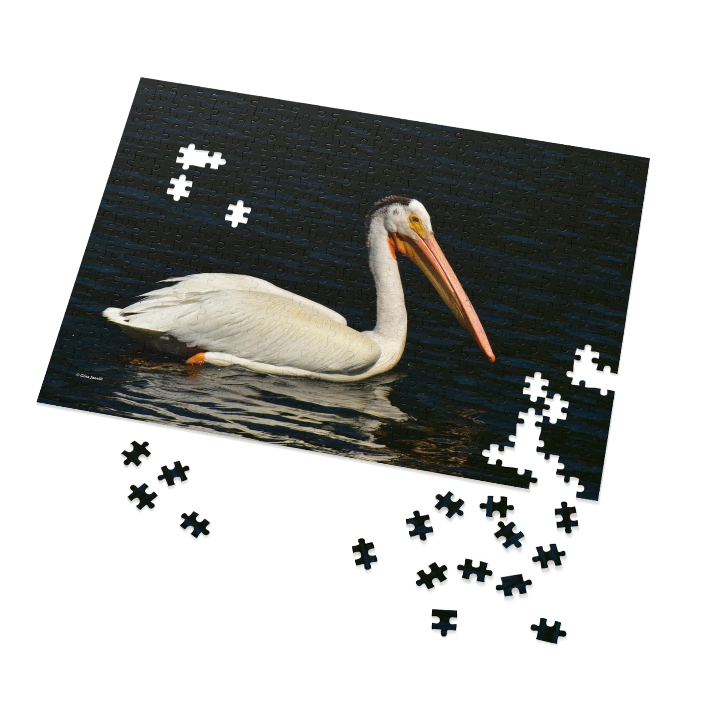 American White Pelican Jigsaw Puzzle ( 110, 252, 500, Piece)