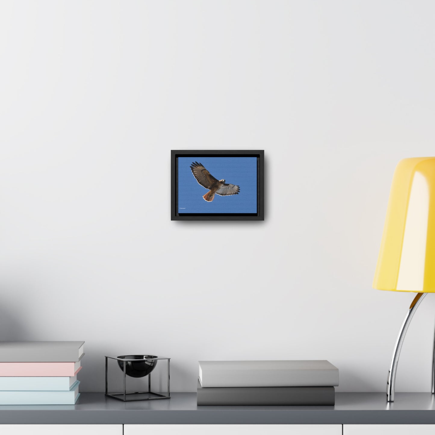 Red Tail Hawk Gallery Canvas Wraps, Horizontal Frame