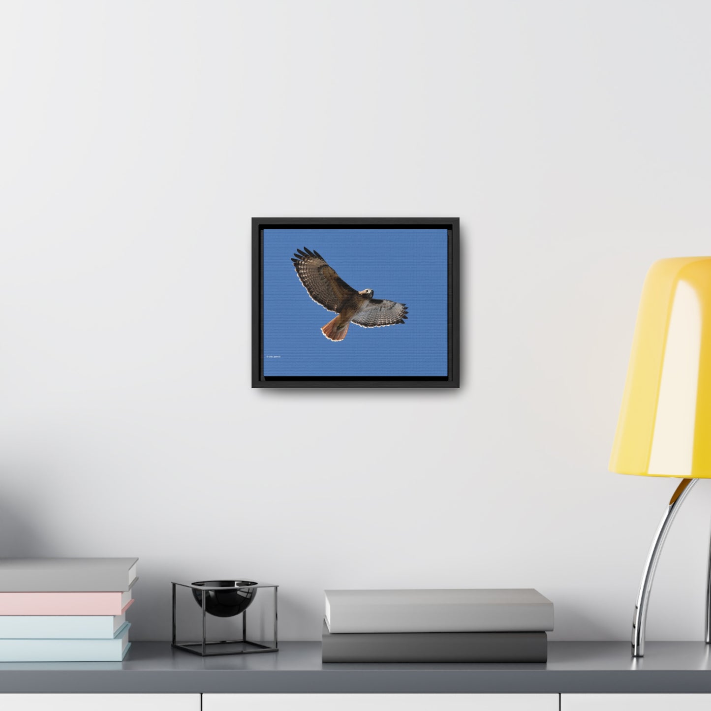 Red Tail Hawk Gallery Canvas Wraps, Horizontal Frame