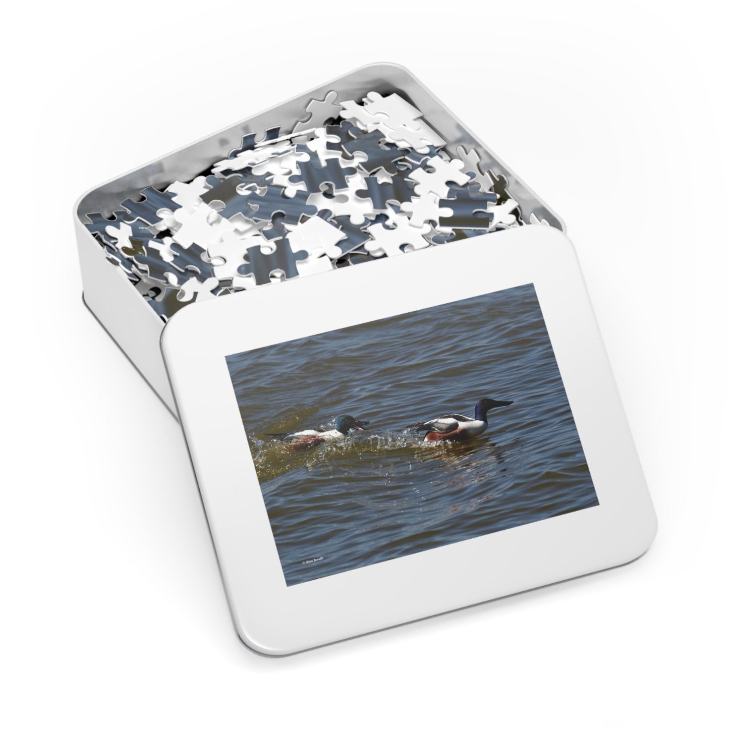Northern Shoveler Jigsaw Puzzle (110, 252, 500, 1000, Piece)