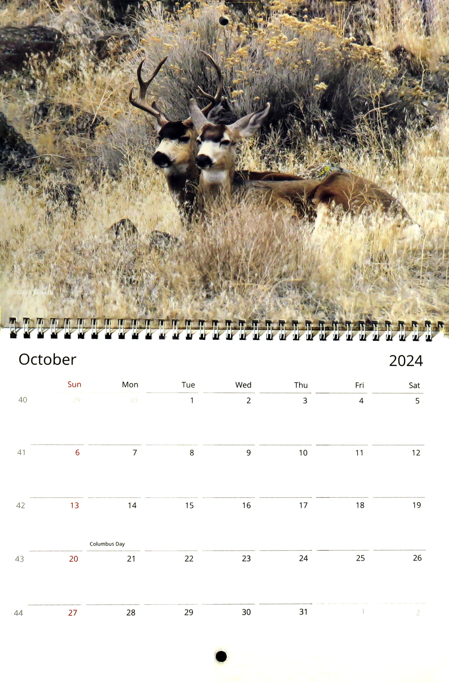 Wildlife Moments 2024 Calendar