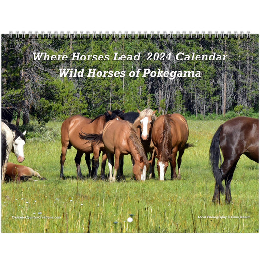 Where Horses Lead - Wild Horses of Pokegama