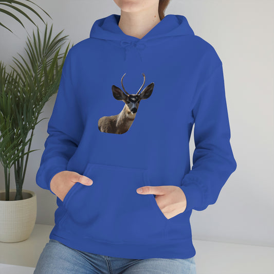 Young Buck - Mule Deer   Unisex Heavy Blend™ Hooded Sweatshirt