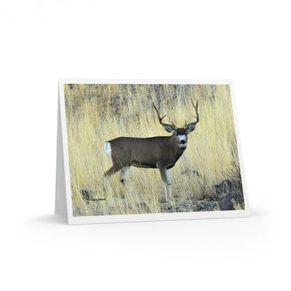 Standing Mule Deer Buck   Greeting cards (8, 16, and 24 pcs)