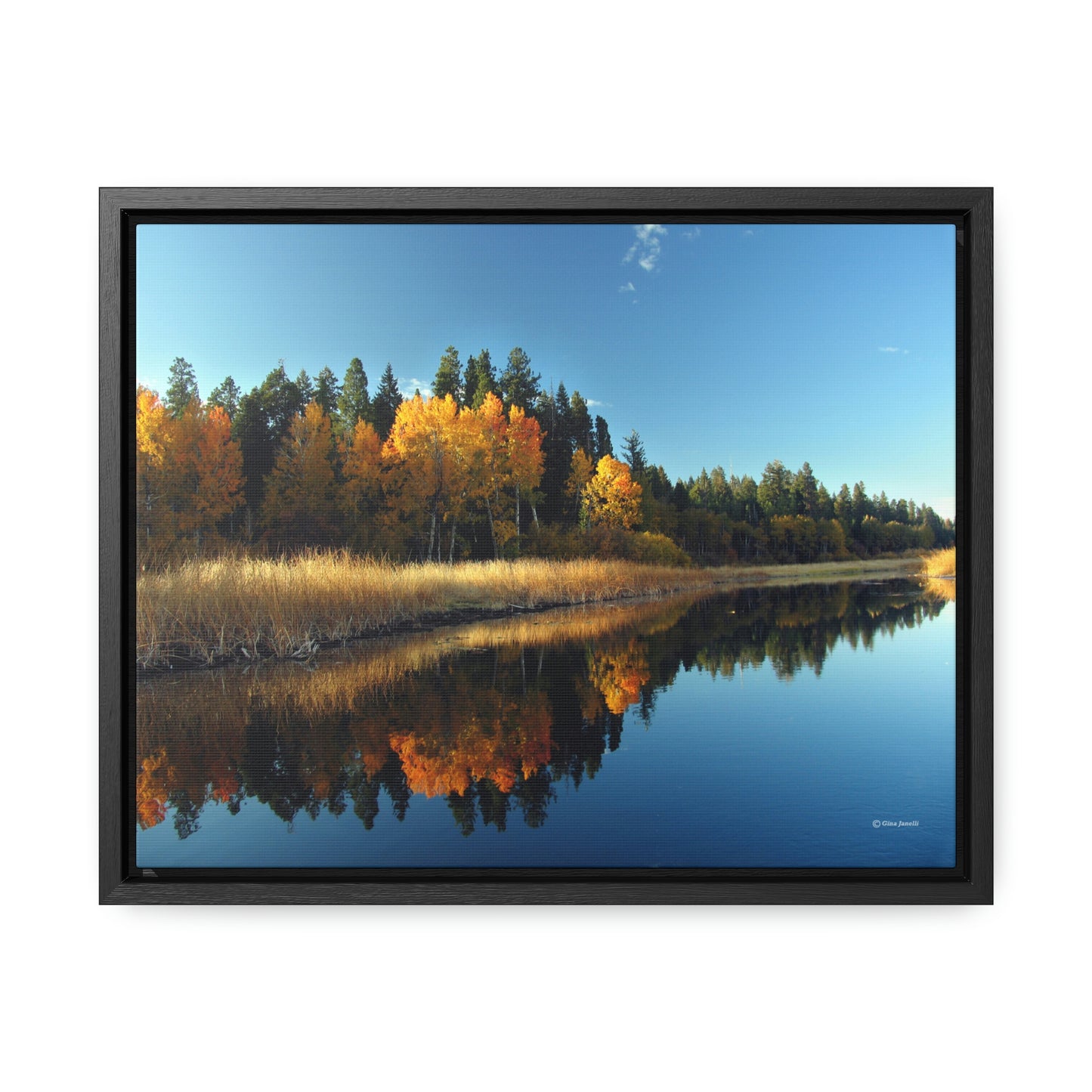 Rocky Point, Klamath Lake, Klamath Falls, Or.    Gallery Canvas Wraps, Horizontal Frame