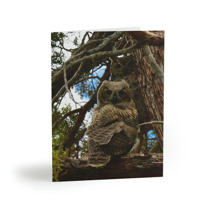 Great Horn Owls Greeting cards (8, 16, and 24 pcs)
