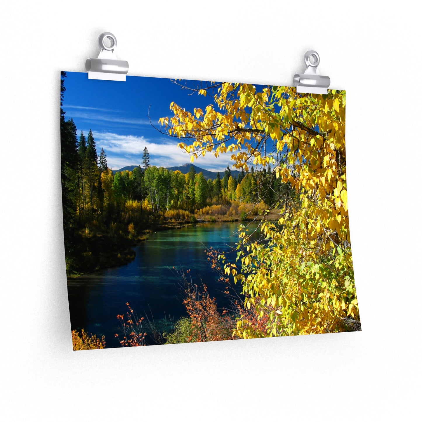 Wood River, Kimball State Park, Ft. Klamath Or. Premium Matte horizontal posters