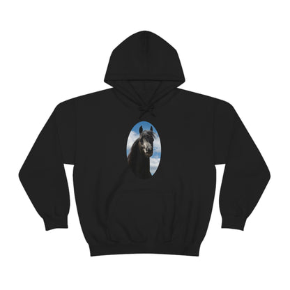 Arabian Black Stallion         Unisex Heavy Blend™ Hooded Sweatshirt